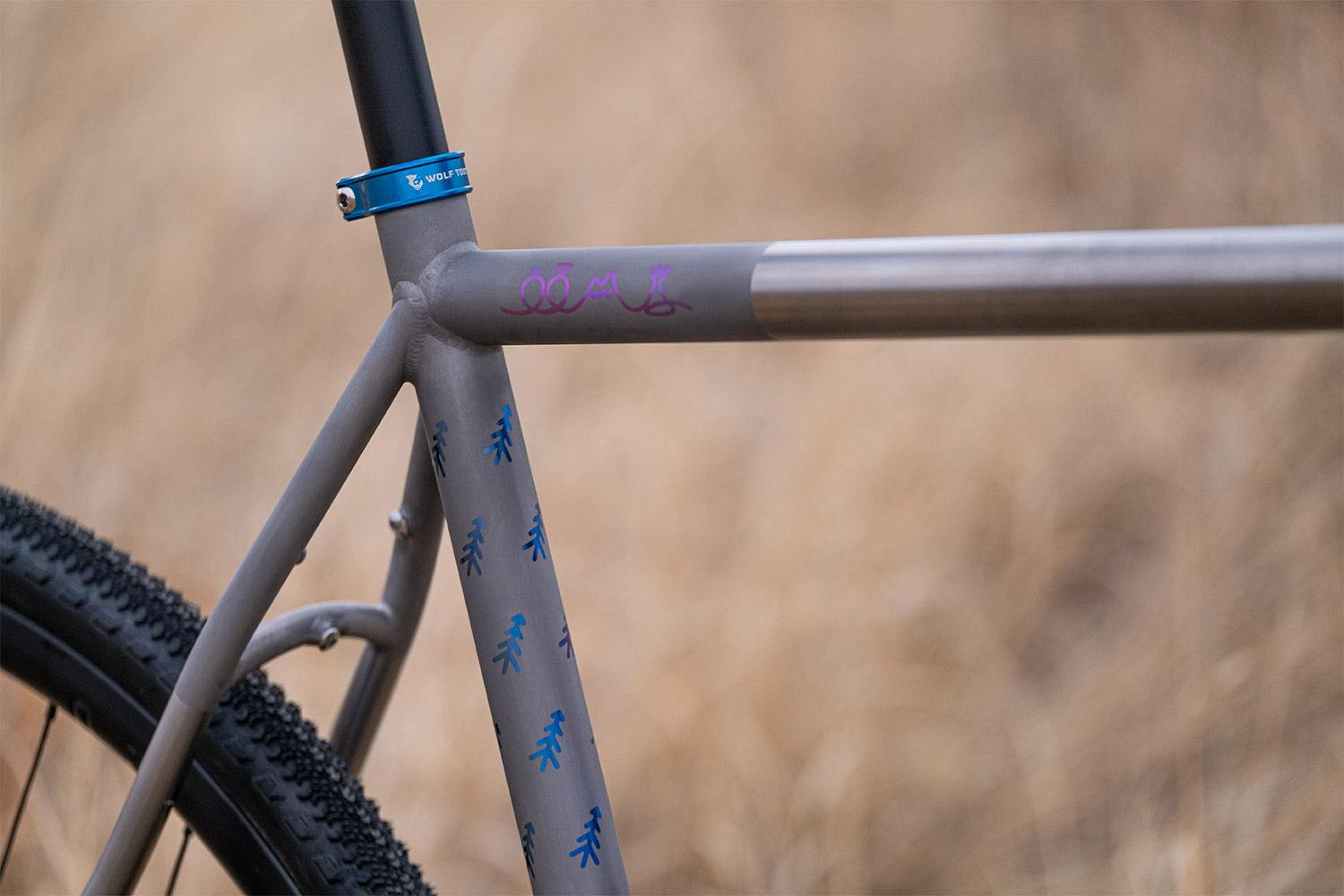 Blue and pink anodized titanium gravel bike. Flaanimal 5 Titanium bicycle by Rodeo Labs.