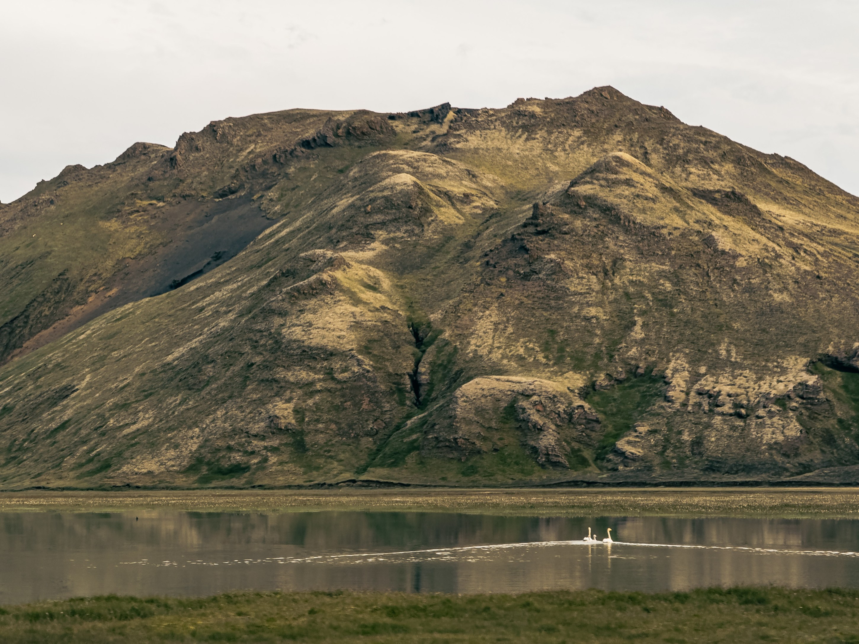 A serene landscape featuring a large, rugged mountain with green and rocky slopes, reflected in a calm lake where two swans are swimming.