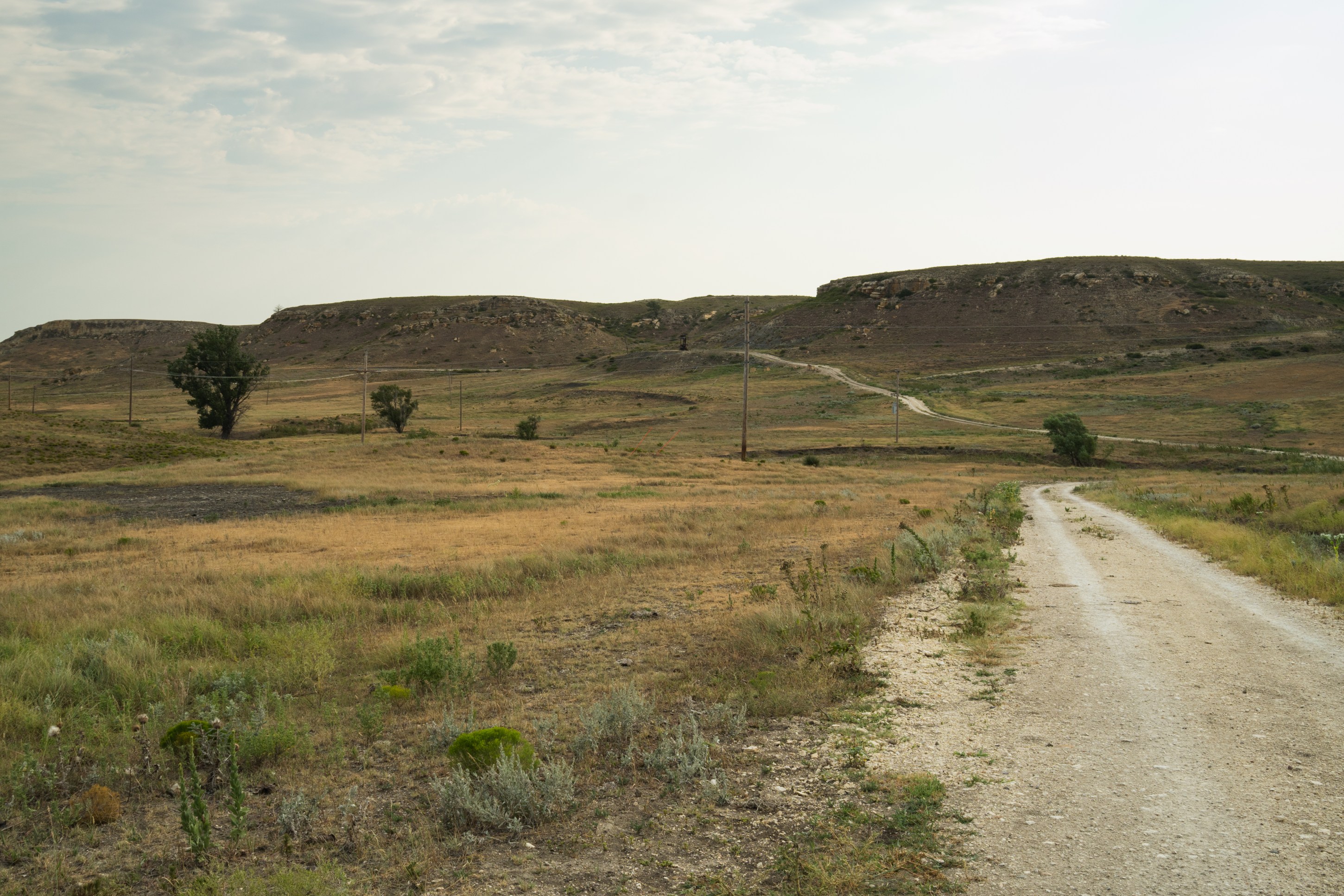 A dirt road winding through a grassy plain with hills in the background under a cloudy sky.